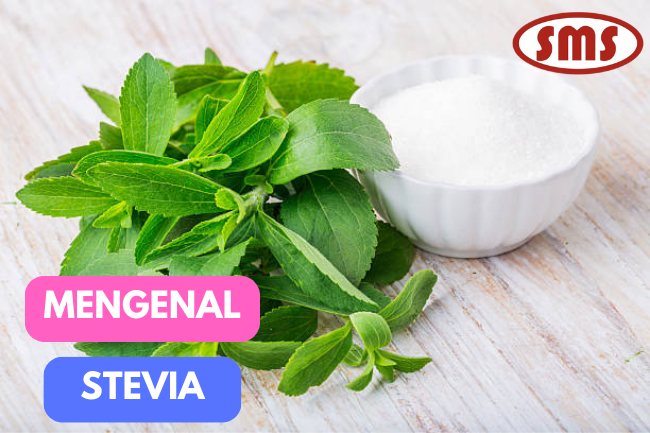 Segarkan Minumanmu dengan Stevia: Pemanis Alami Rendah Kalori